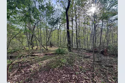 100 Chestnut Mountain Road, Travelers Rest, SC 29690 - Photo 6