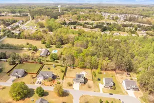 109 Smith Farm Wy, Easley, SC 29642 - Photo 38