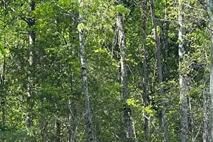 00 Woodfin Rd, Inman, SC 29349 - Photo 1