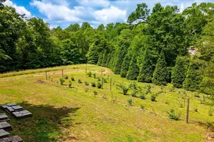 2811 Saluda Dam Rd, Easley, SC 29640 - Photo 30