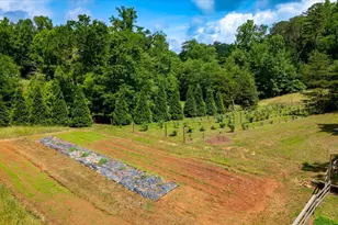 2811 Saluda Dam Rd, Easley, SC 29640 - Photo 32