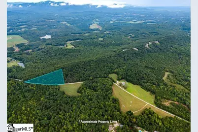01 S. Packs Mtn Road, Taylors, SC 29687 - Photo 2