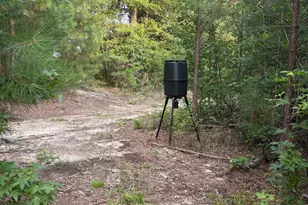 2610 Erwin Mill Rd, Honea Path, SC 29654 - Photo 48