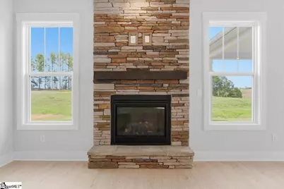 122 Terpack Court, Gray Court, SC 29645 - Photo 14