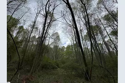 850 Lebanon Road, Pendleton, SC 29670 - Photo 32