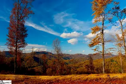 200 Chestnut Mountain Road, Travelers Rest, SC 29660 - Photo 6