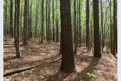 23 Belk Road, Travelers Rest, SC 29690 - Photo 6