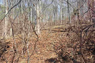 167 Julie Way, Pickens, SC 29671 - Photo 1