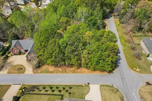 602 Mt Vernon Ln, Duncan, SC 29301 - Photo 1