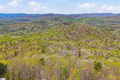 630 Upper Springs Road, Pickens, SC 29671 - Photo 44