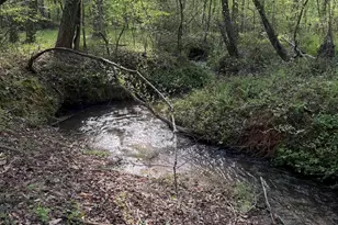 36 Key Hollow Ln, Travelers Rest, SC 29690 - Photo 14