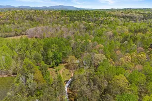 36 Key Hollow Ln, Travelers Rest, SC 29690 - Photo 8