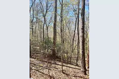 00 Sc-11 Highway, Travelers Rest, SC 29690 - Photo 6