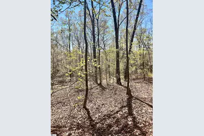 00 Sc-11 Highway, Travelers Rest, SC 29690 - Photo 22