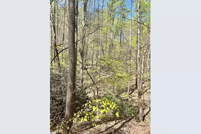 00 Sc-11 Highway, Travelers Rest, SC 29690 - Photo 10