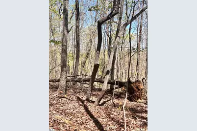 00 Sc-11 Highway, Travelers Rest, SC 29690 - Photo 20