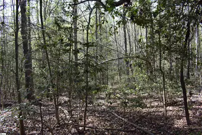 277 Philadelphia Church Road, Ellenboro, NC 28040 - Photo 16