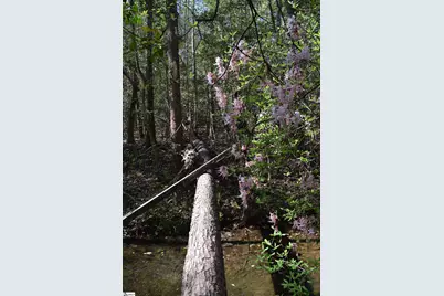 277 Philadelphia Church Road, Ellenboro, NC 28040 - Photo 22