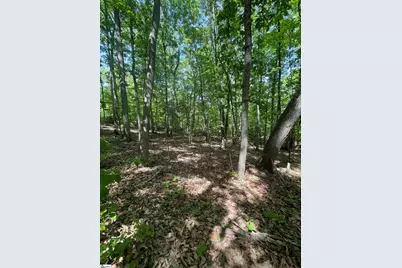 0 Packs Mountain Ridge Road, Taylors, SC 29687 - Photo 6