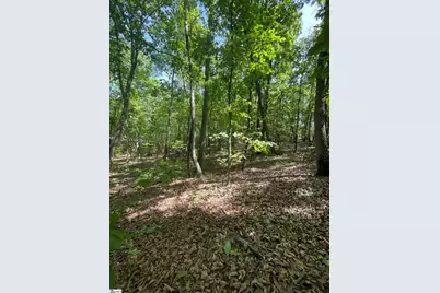 0 Packs Mountain Ridge Road, Taylors, SC 29687 - Photo 16