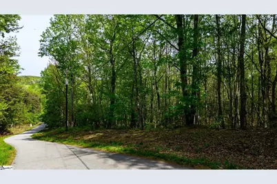 0 Packs Mountain Ridge Road, Taylors, SC 29687 - Photo 12