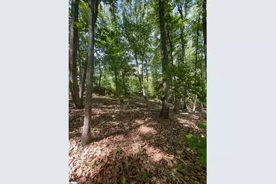 0 Packs Mountain Ridge Road, Taylors, SC 29687 - Photo 20