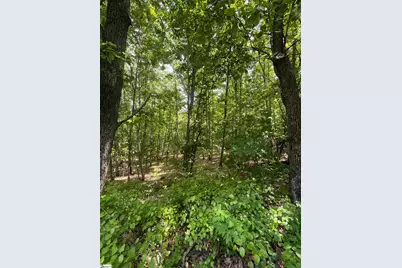 0 Packs Mountain Ridge Road, Taylors, SC 29687 - Photo 18