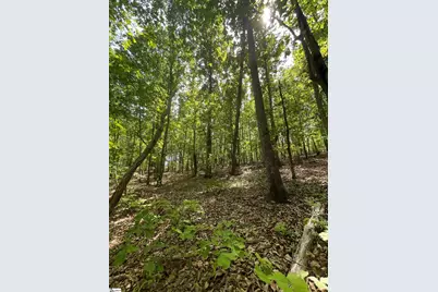0 Packs Mountain Ridge Road, Taylors, SC 29687 - Photo 14