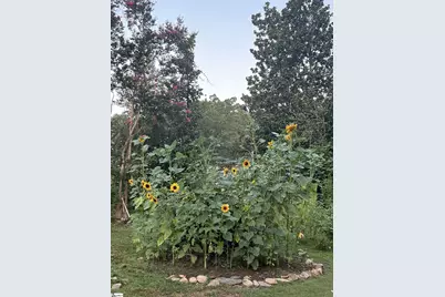 132 Oak Hill Drive, Greenville, SC 29617 - Photo 30