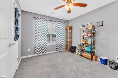 206 Destiny Drive, Gray Court, SC 29645 - Photo 16