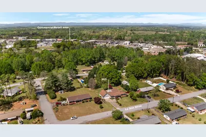 203 Le Ann Drive, Easley, SC 29642 - Photo 42