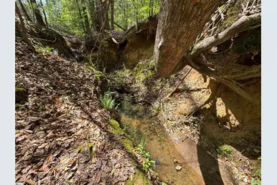 211 Center Street, Abbeville, SC 29620 - Photo 22