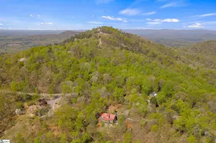 539 Upper Springs Rd, Pickens, SC 29671 - Photo 46