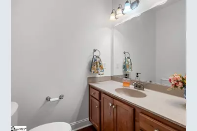 510 Cole Road, Campobello, SC 29322 - Photo 16