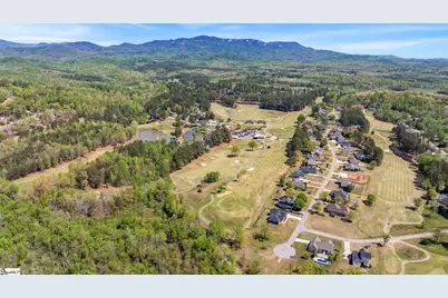 8 Silkvine Court, Travelers Rest, SC 29690 - Photo 12