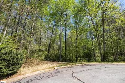 8 Silkvine Court, Travelers Rest, SC 29690 - Photo 16