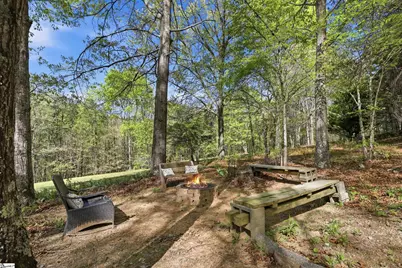 491 Pierce Road, Landrum, SC 29356 - Photo 38