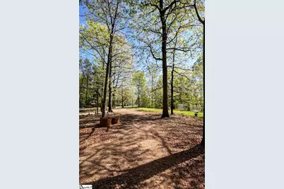 4124 Sc-414 Highway, Landrum, SC 29651 - Photo 2
