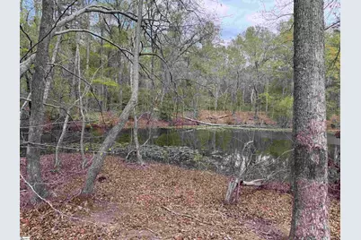 0 Lancaster Road, Spartanburg, SC 29376 - Photo 30