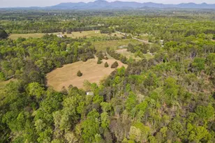 1810 Skunk Hollow Rd, Campobello, SC 29322 - Photo 44