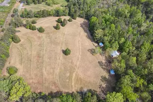 1810 Skunk Hollow Rd, Campobello, SC 29322 - Photo 42