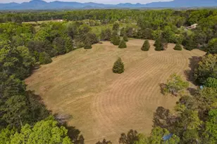 1810 Skunk Hollow Rd, Campobello, SC 29322 - Photo 50