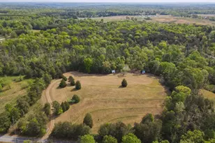 1810 Skunk Hollow Rd, Campobello, SC 29322 - Photo 36