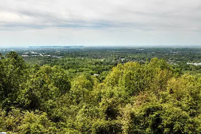 823 Altamont Road, Greenville, SC 29609 - Photo 42