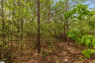 1 Wild Fern Ct, Travelers Rest, SC 29690 - Photo 46