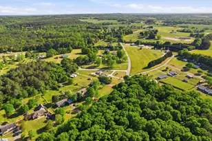 290 Dickson Rd, Campobello, SC 29322 - Photo 22