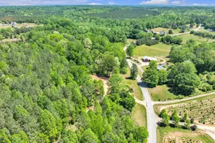 1379 Ruhamah Rd, Liberty, SC 29657 - Photo 4