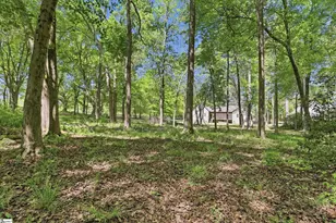 297 Paradise Vista Dr, Williamston, SC 29697 - Photo 34
