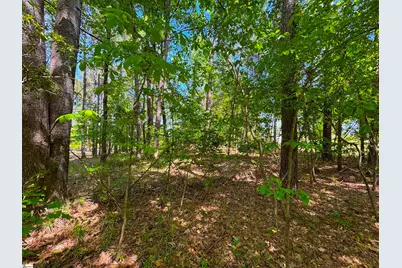 430 Herrington Drive, Chappells, SC 29332 - Photo 16