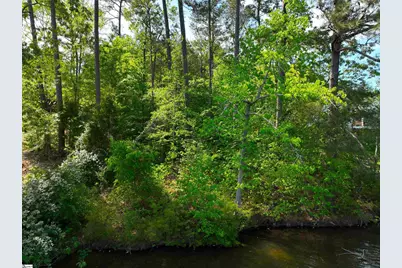 430 Herrington Drive, Chappells, SC 29332 - Photo 12